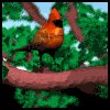 cardinal_tree_mw.gif