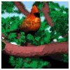 cardinal_tree_mb.gif