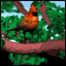 cardinal_tree_lw.gif