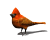 cardinal_look_mw.gif