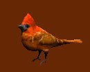 cardinal_look_lc.gif