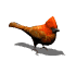 cardinal_hop_sw.gif