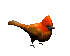 cardinal_hop_sc.gif