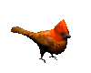 cardinal_hop_mc.gif