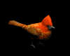 cardinal_hop_mb.gif
