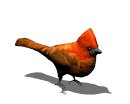 cardinal_hop_lw.gif