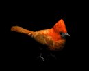 cardinal_hop_lb.gif