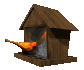 cardinal_feeder_sc.gif