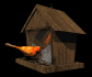 cardinal_feeder_sb.gif