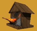 cardinal_feeder_mc.gif