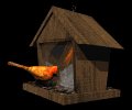 cardinal_feeder_mb.gif