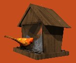 cardinal_feeder_lc.gif