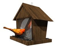 cardinal_feeder_hr.jpg