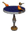 cardinal_bird_bath_mc.gif