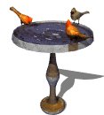 cardinal_bird_bath_lw.gif