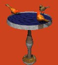 cardinal_bird_bath_lc.gif