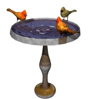 cardinal_bird_bath_hr.jpg