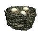 birdnest_eggs_wiggling_sc.gif