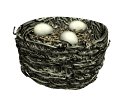 birdnest_eggs_wiggling_mw.gif