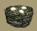 birdnest_eggs_wiggling_mc.gif