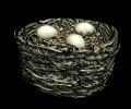birdnest_eggs_wiggling_mb.gif