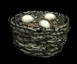 birdnest_eggs_wiggling_lb.gif