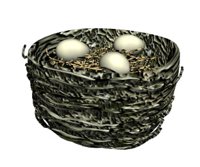 birdnest_eggs_wiggling_hr.jpg