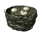 birdnest_crackedegg_p_a_sc.gif