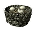 birdnest_crackedegg_p_a_mw.gif