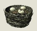 birdnest_crackedegg_p_a_mc.gif