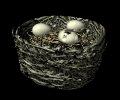 birdnest_crackedegg_p_a_mb.gif