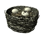 birdnest_crackedegg_p_a_lw.gif