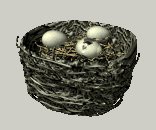 birdnest_crackedegg_p_a_lc.gif