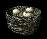 birdnest_crackedegg_p_a_lb.gif