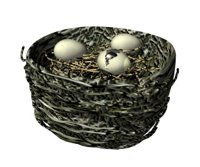 birdnest_crackedegg_p_a_hr.jpg