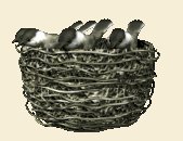 birdnest_chikadees_wa_a_lc.gif