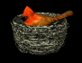 birdnest_cardinal_nes_a_sb.gif