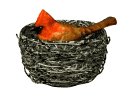 birdnest_cardinal_nes_a_mw.gif