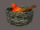 birdnest_cardinal_nes_a_mc.gif