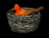 birdnest_cardinal_nes_a_lb.gif