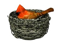 birdnest_cardinal_nes_a_hr.jpg