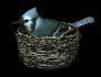 birdnest_bluejay_nest_a_sb.gif
