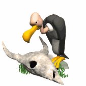 vulture_snacking_lw.gif