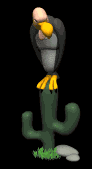 vulture_looking_around_lb.gif