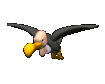 vulture_flying_sc.gif