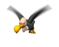 vulture_flying_hr.jpg