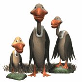 vulture_family_lw.gif
