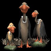 vulture_family_lc.gif