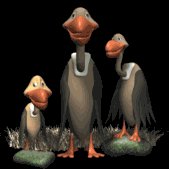 vulture_family_lb.gif