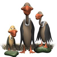 vulture_family_hr.jpg